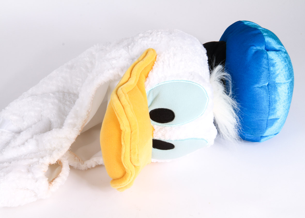 Collection of Donald Duck Items