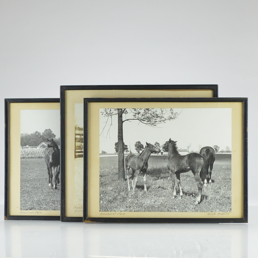Vintage Framed Photographs by J.C. "Skeets" Meadors