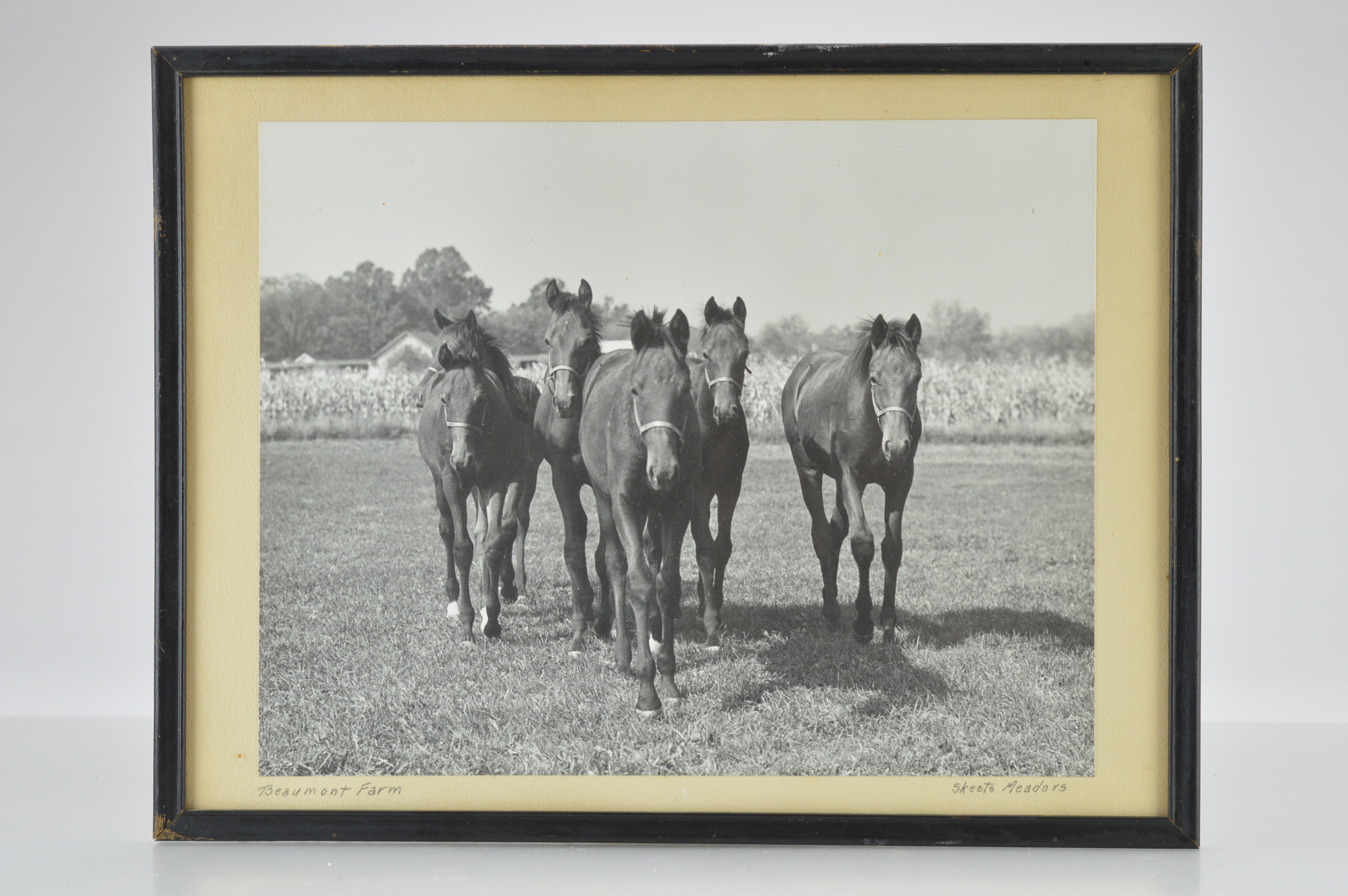 Vintage Framed Photographs by J.C. "Skeets" Meadors