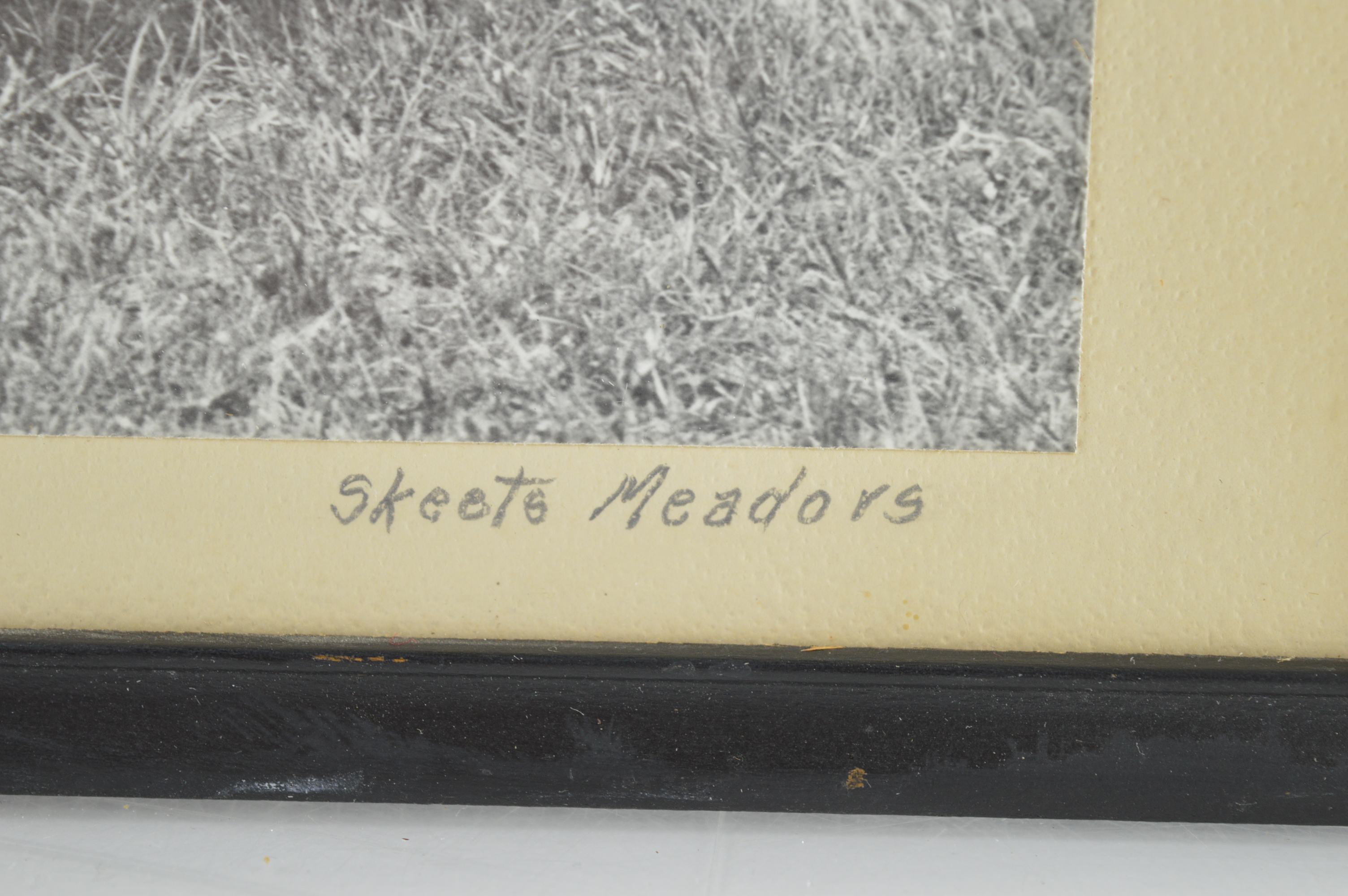 Vintage Framed Photographs by J.C. "Skeets" Meadors