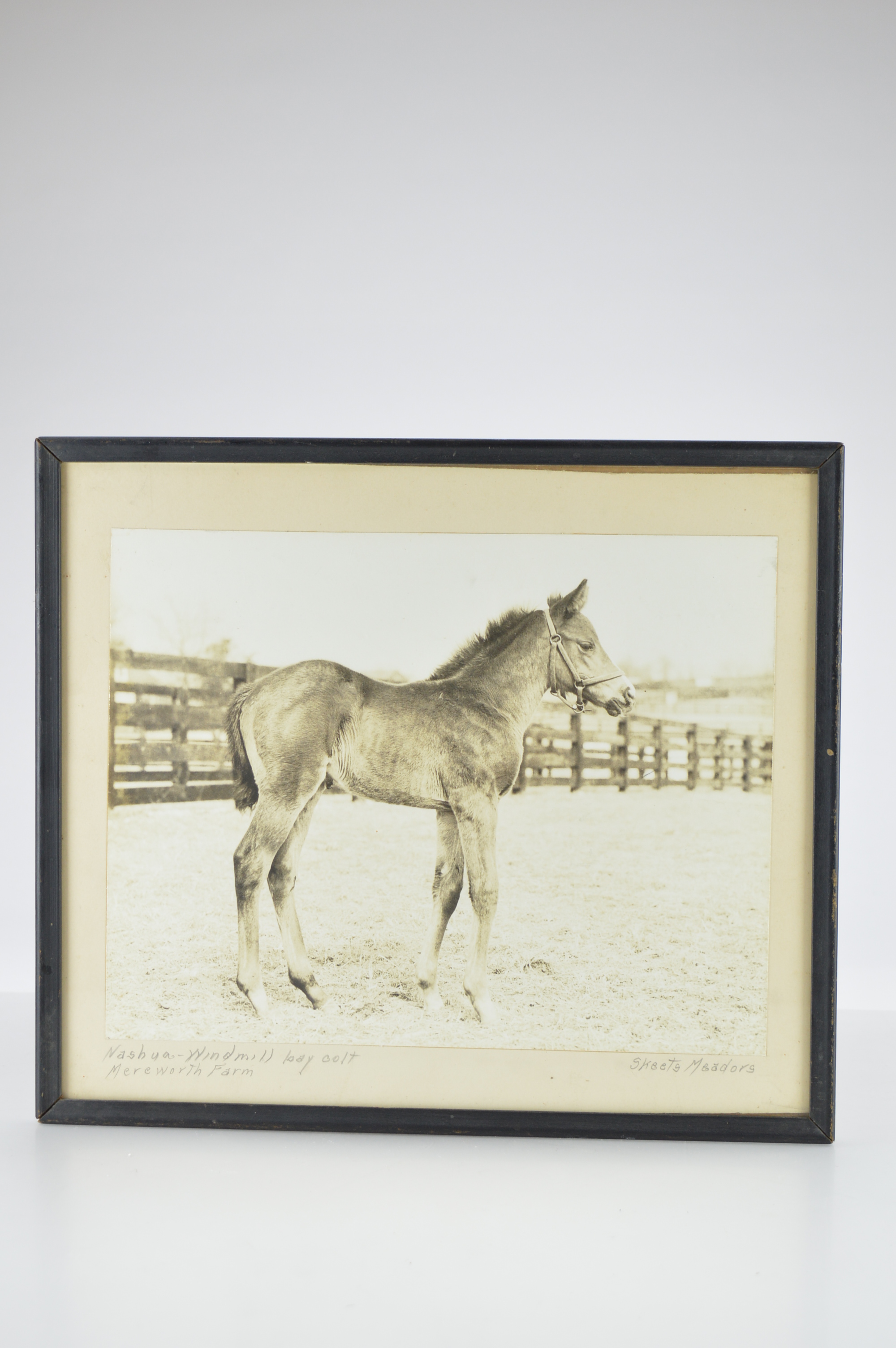 Vintage Framed Photographs by J.C. "Skeets" Meadors