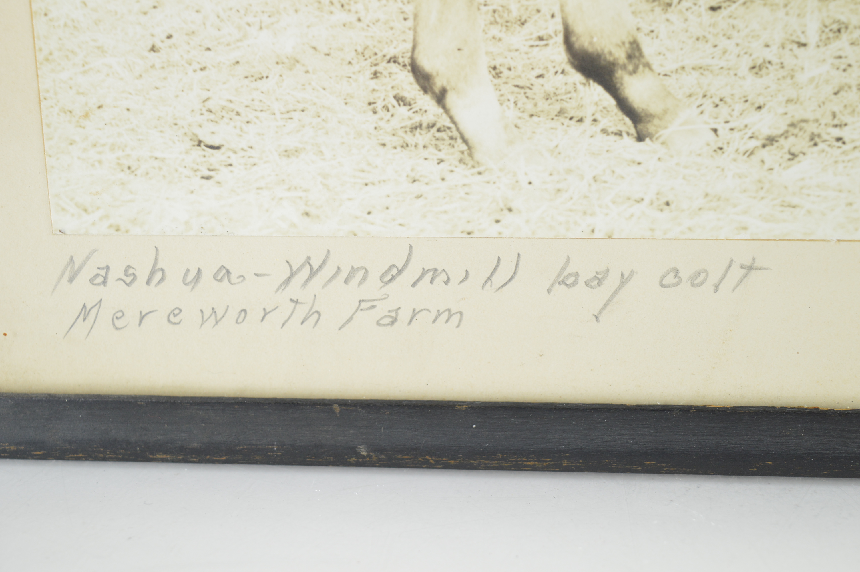 Vintage Framed Photographs by J.C. "Skeets" Meadors