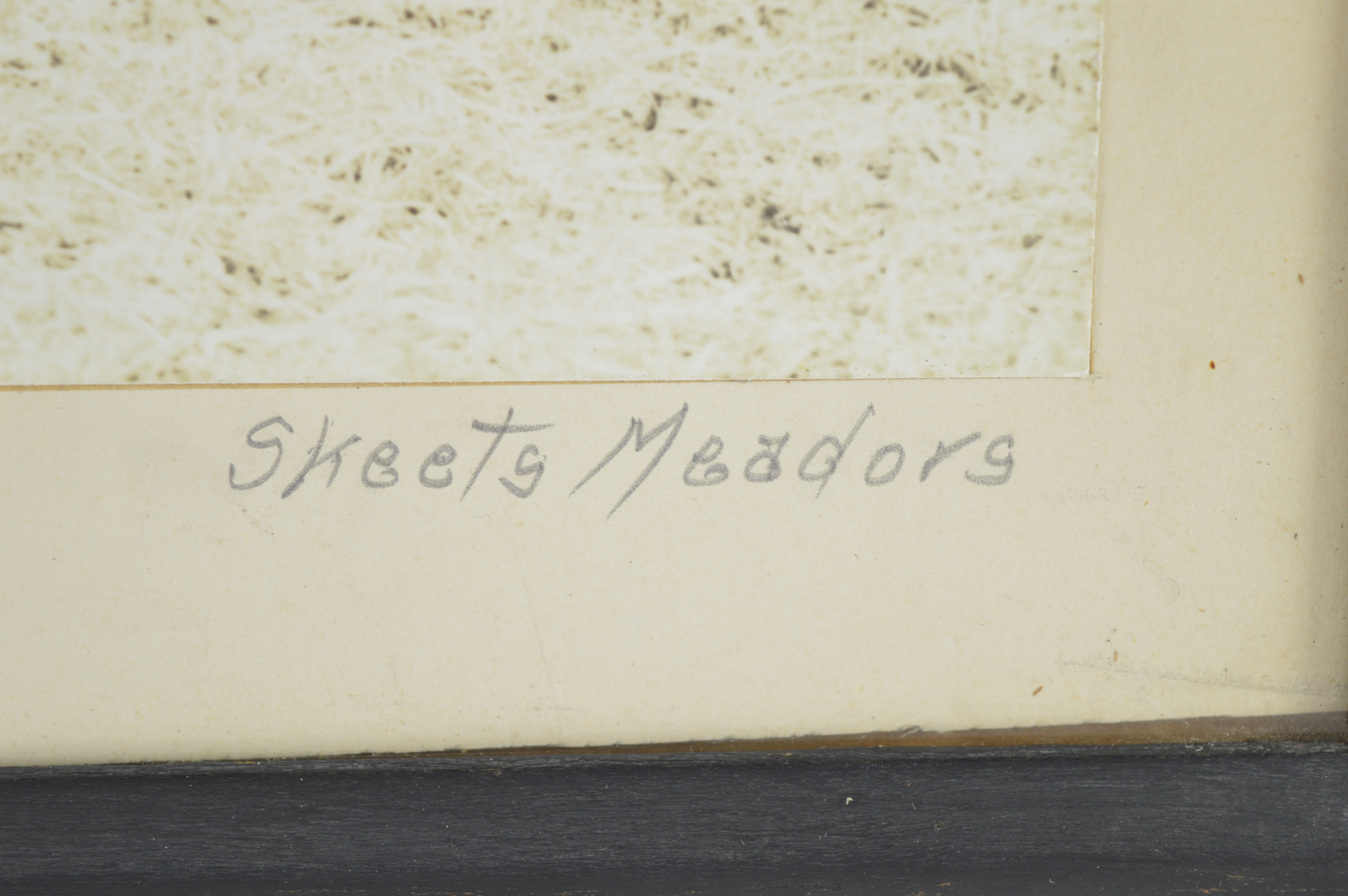 Vintage Framed Photographs by J.C. "Skeets" Meadors