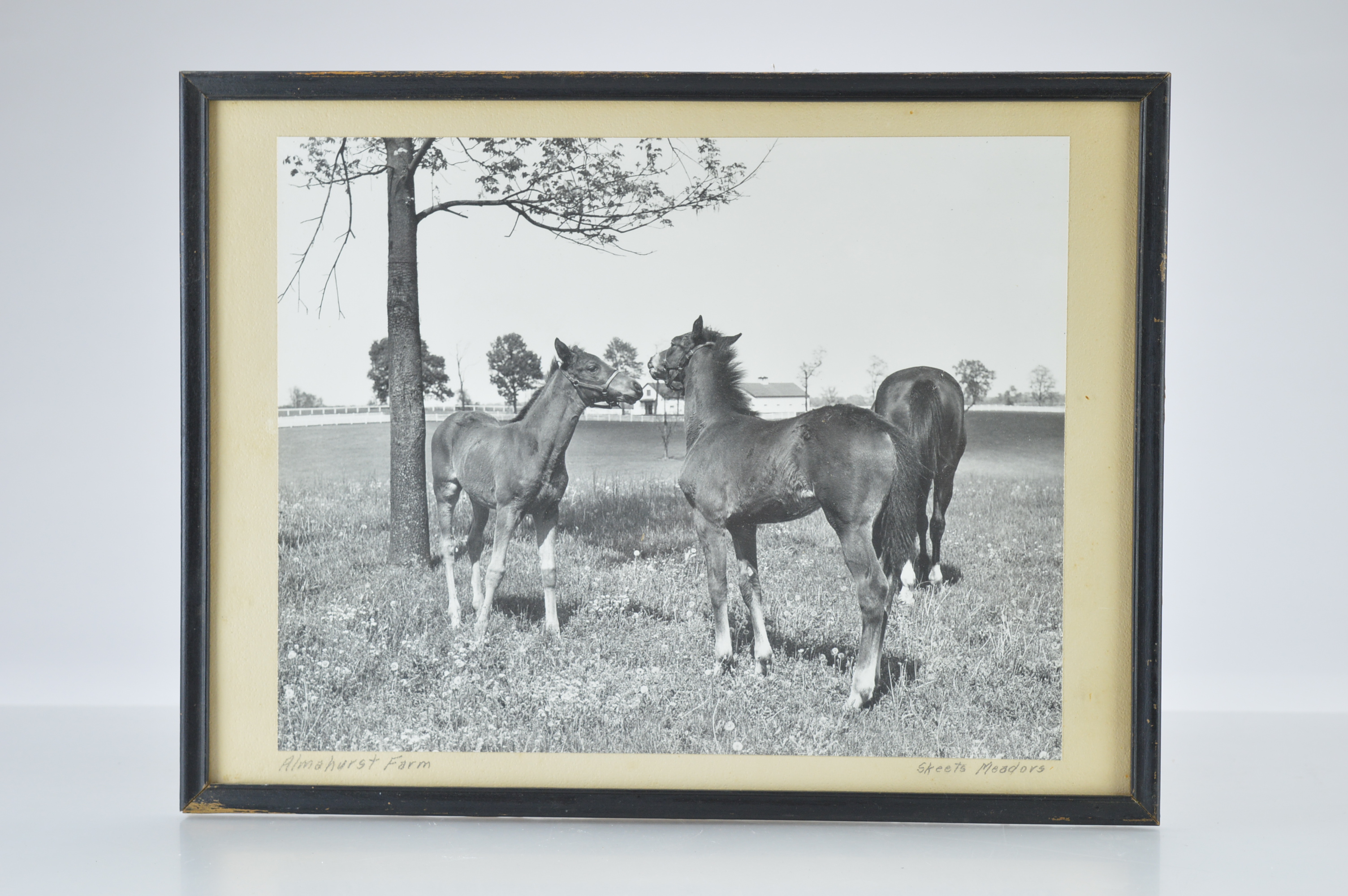 Vintage Framed Photographs by J.C. "Skeets" Meadors
