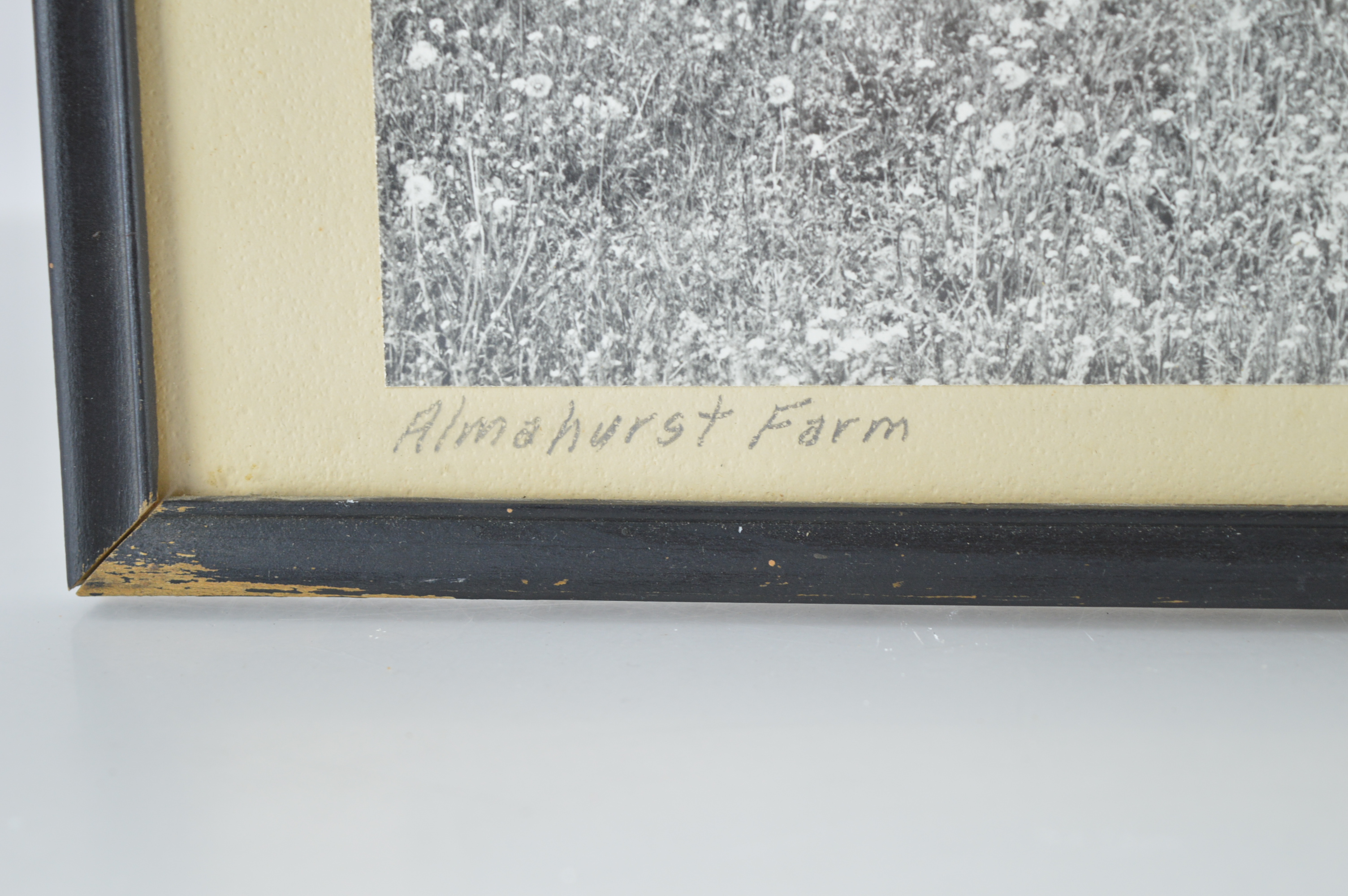 Vintage Framed Photographs by J.C. "Skeets" Meadors