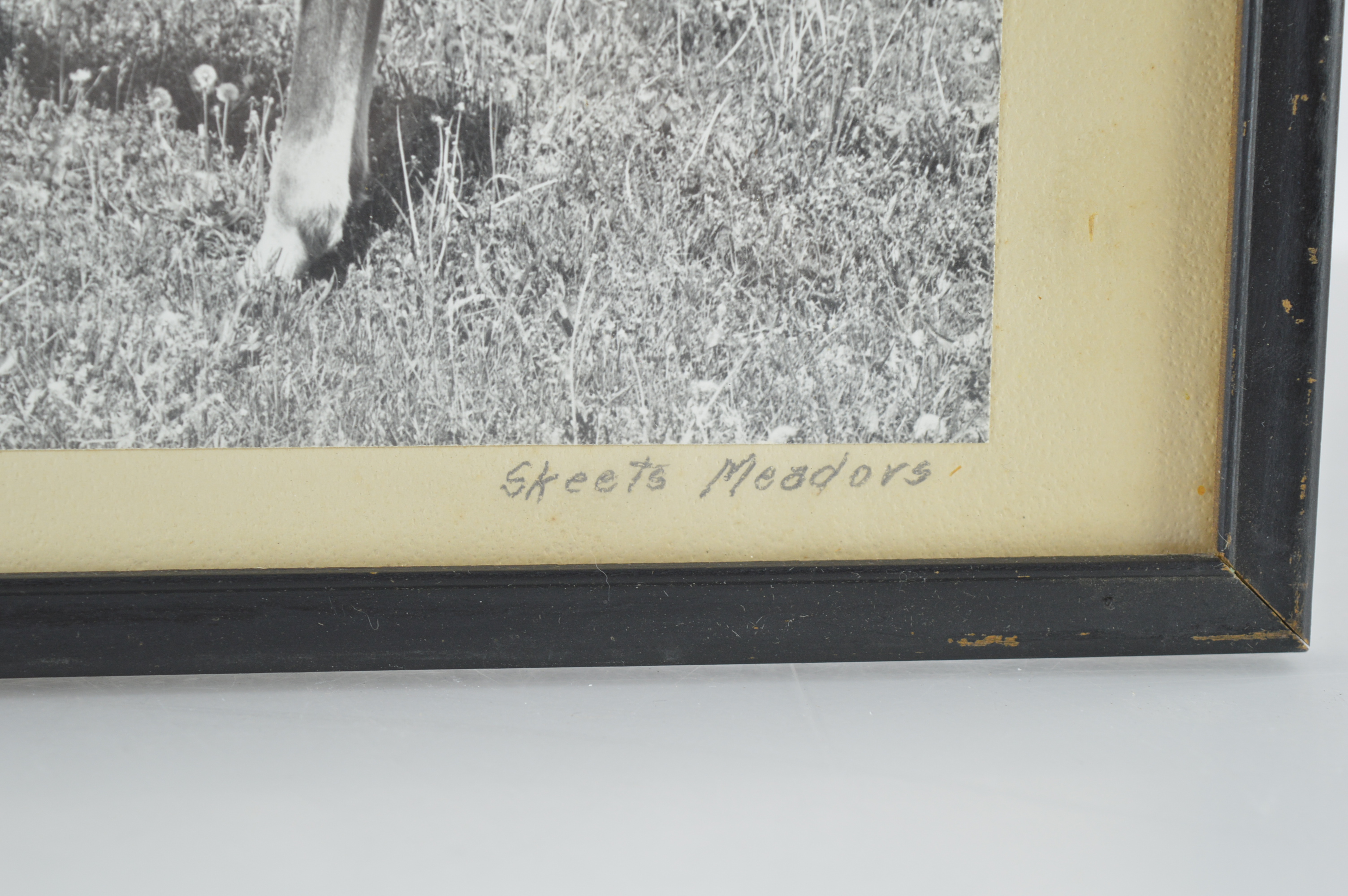 Vintage Framed Photographs by J.C. "Skeets" Meadors
