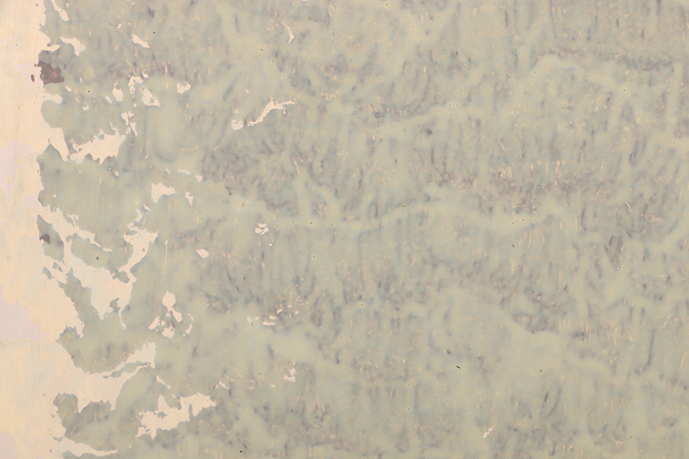 Joseph Marioni Acrylic on Board "The Garden of the Godfather"