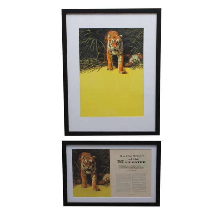 Stan Galli Gouache Painting on Board Illustration for "On the Track of the Man Eater"