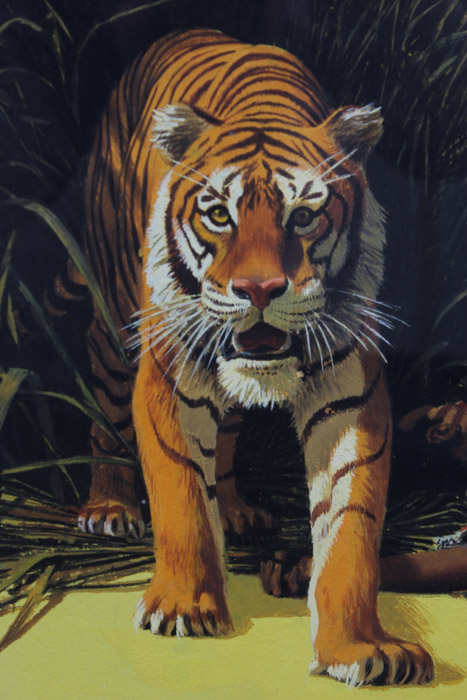 Stan Galli Gouache Painting on Board Illustration for "On the Track of the Man Eater"