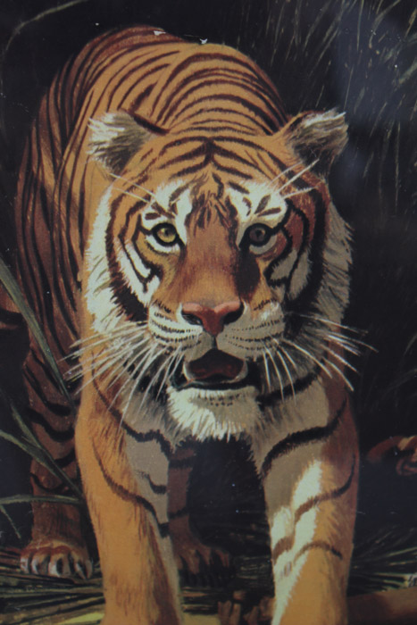 Stan Galli Gouache Painting on Board Illustration for "On the Track of the Man Eater"