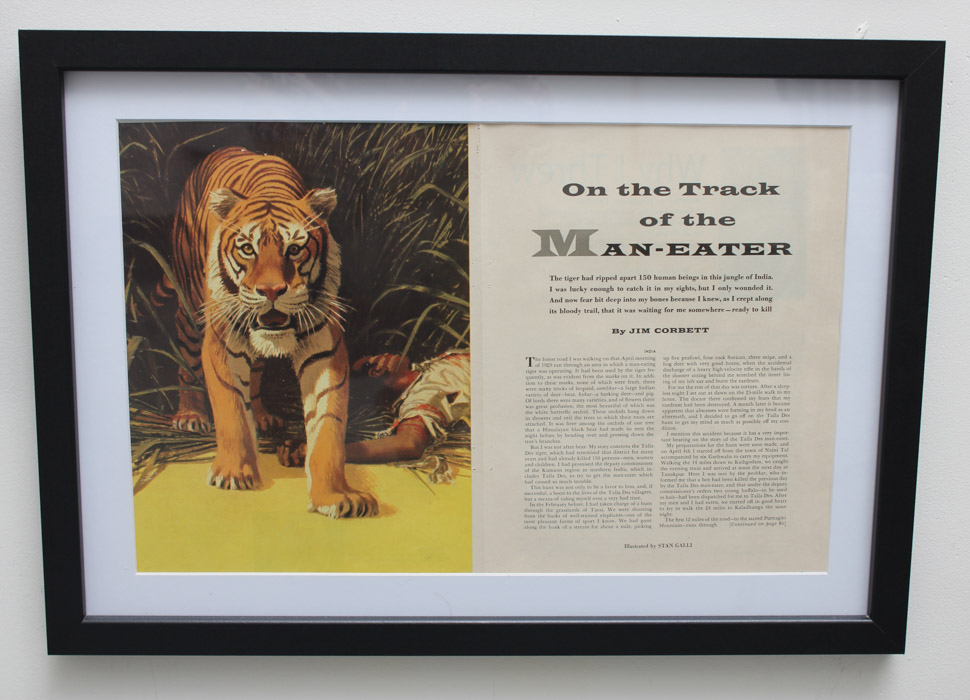 Stan Galli Gouache Painting on Board Illustration for "On the Track of the Man Eater"