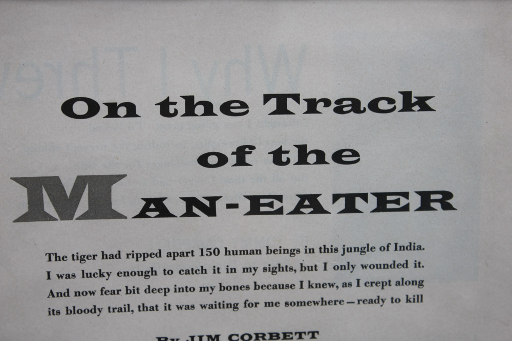 Stan Galli Gouache Painting on Board Illustration for "On the Track of the Man Eater"