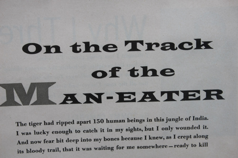 Stan Galli Gouache Painting on Board Illustration for "On the Track of the Man Eater"