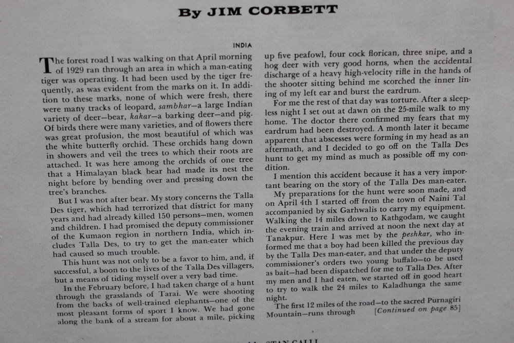 Stan Galli Gouache Painting on Board Illustration for "On the Track of the Man Eater"