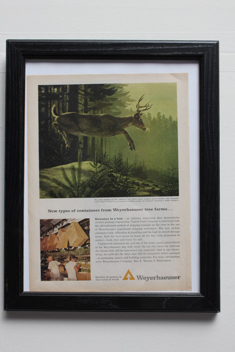 Stan Galli Gouache Painting on Board For Weyerhaeuser Advertising