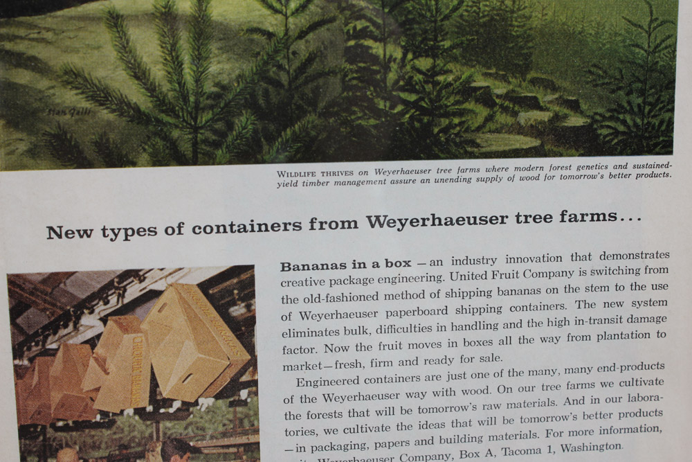 Stan Galli Gouache Painting on Board For Weyerhaeuser Advertising