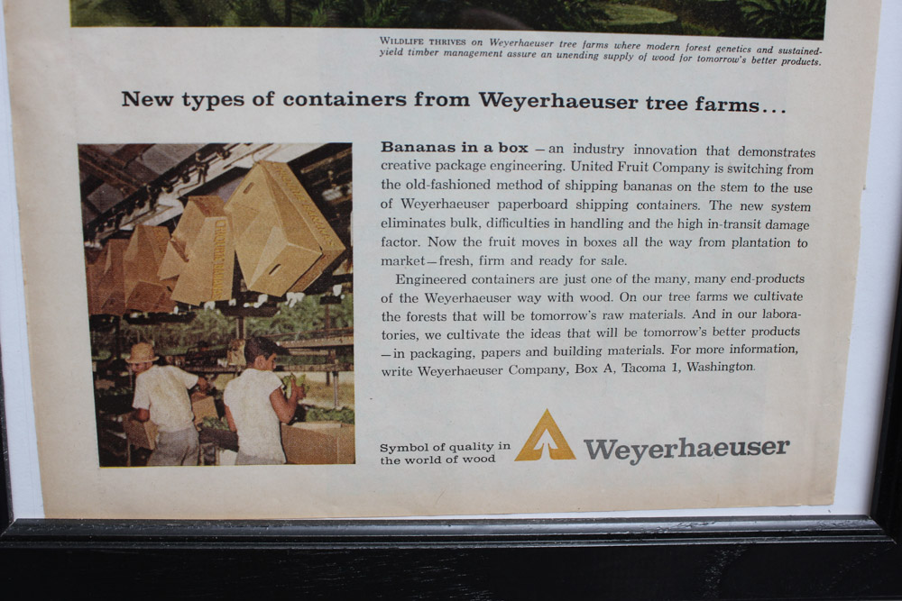 Stan Galli Gouache Painting on Board For Weyerhaeuser Advertising