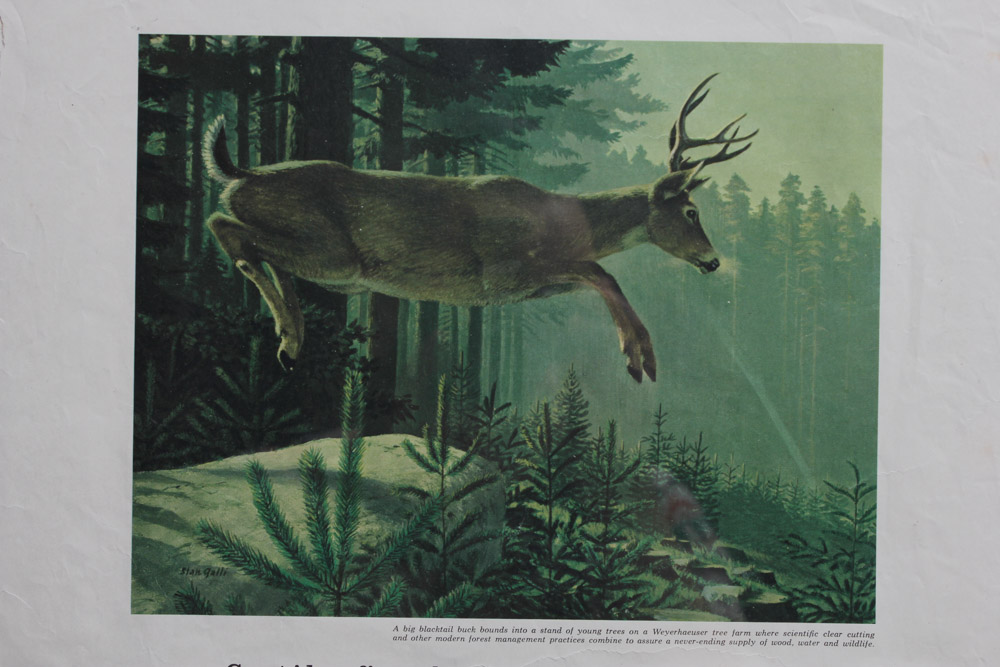 Stan Galli Gouache Painting on Board For Weyerhaeuser Advertising