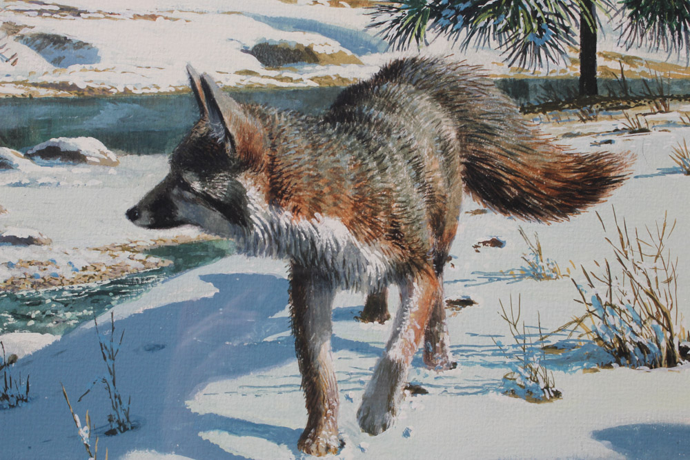 1959 Stan Galli Painting "Fox and Otters" for Weyerhaeuser Advertising