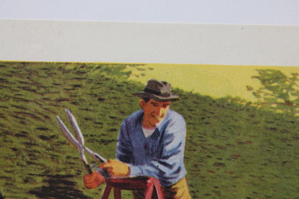 1953 Chevrolet Advertisement, Art by Stan Galli