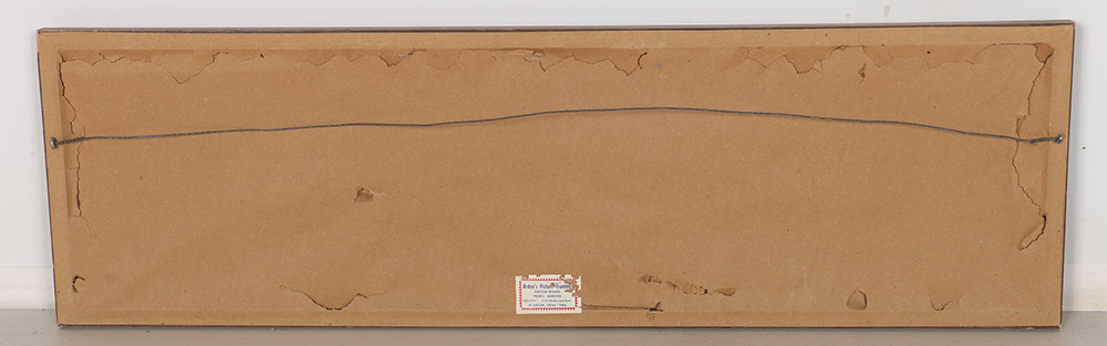 Vintage Photos of Superbowl VIII in 1974