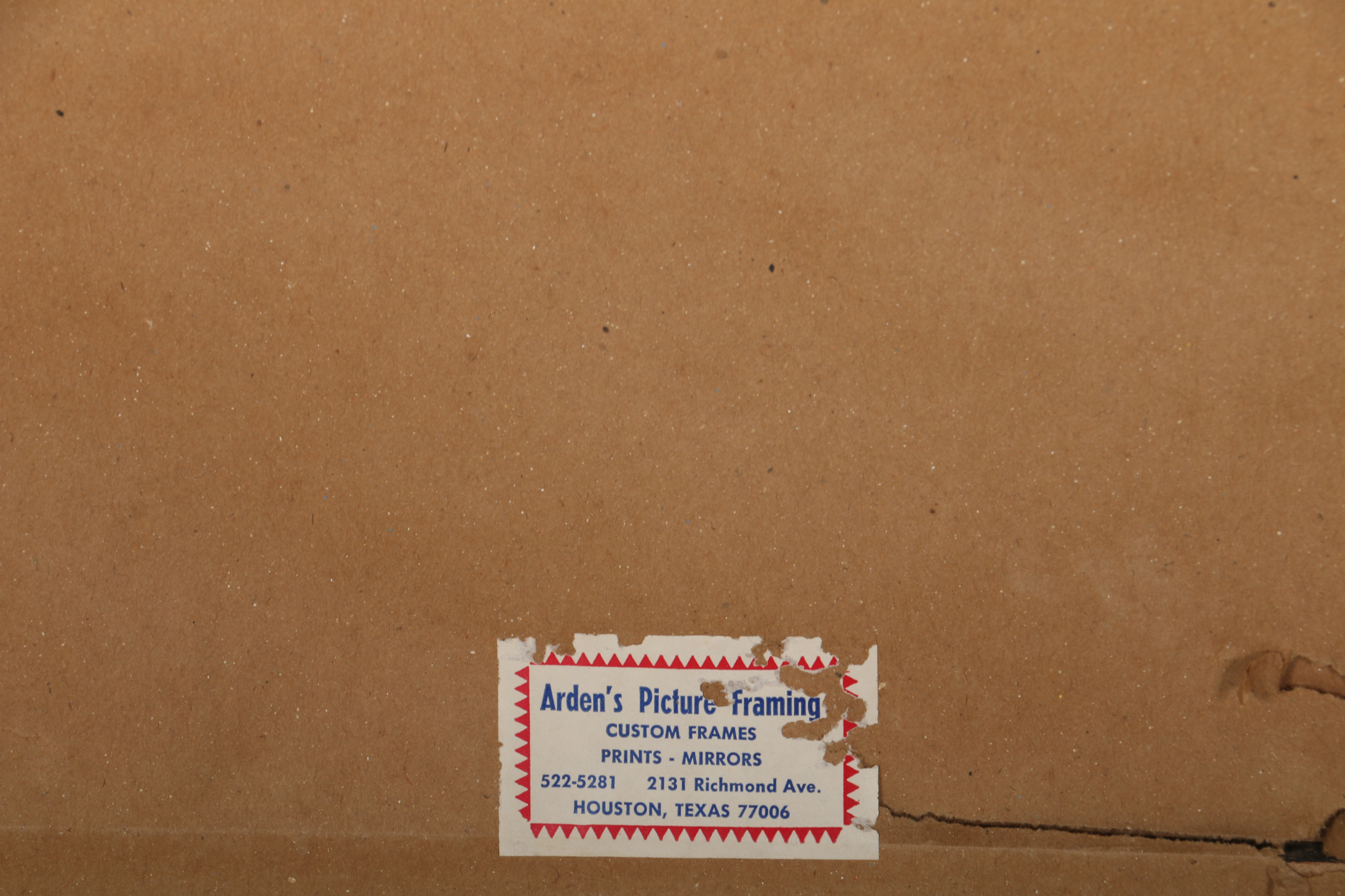 Vintage Photos of Superbowl VIII in 1974