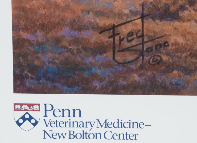 Fred Stone Limited Edition Print "A Legacy of Hope, Barbaro"