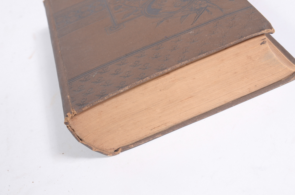 Collection of Vintage and Antique Books