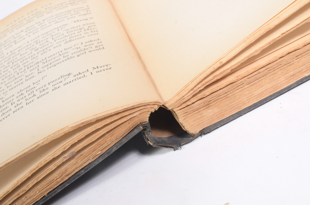 Collection of Vintage and Antique Books