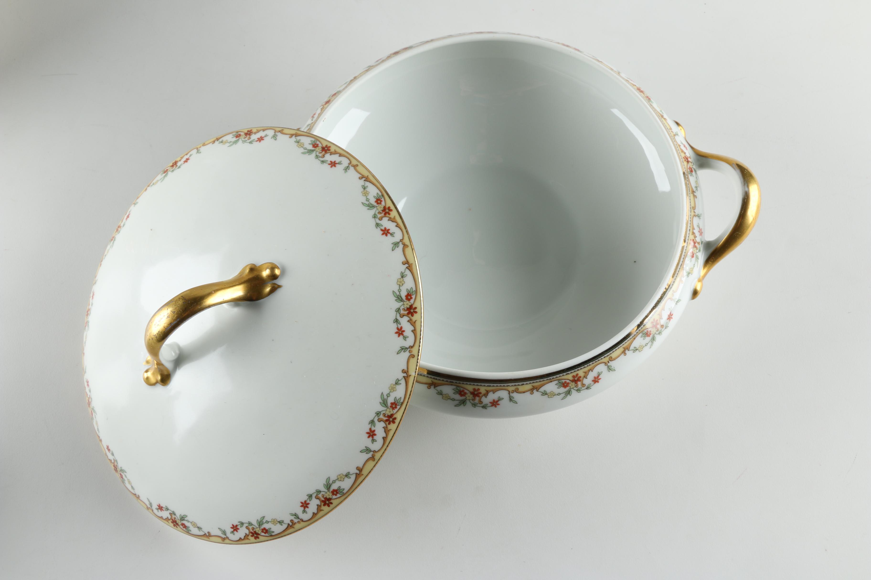 Vignaud Limoges "The Meuse" Porcelain Dinnerware