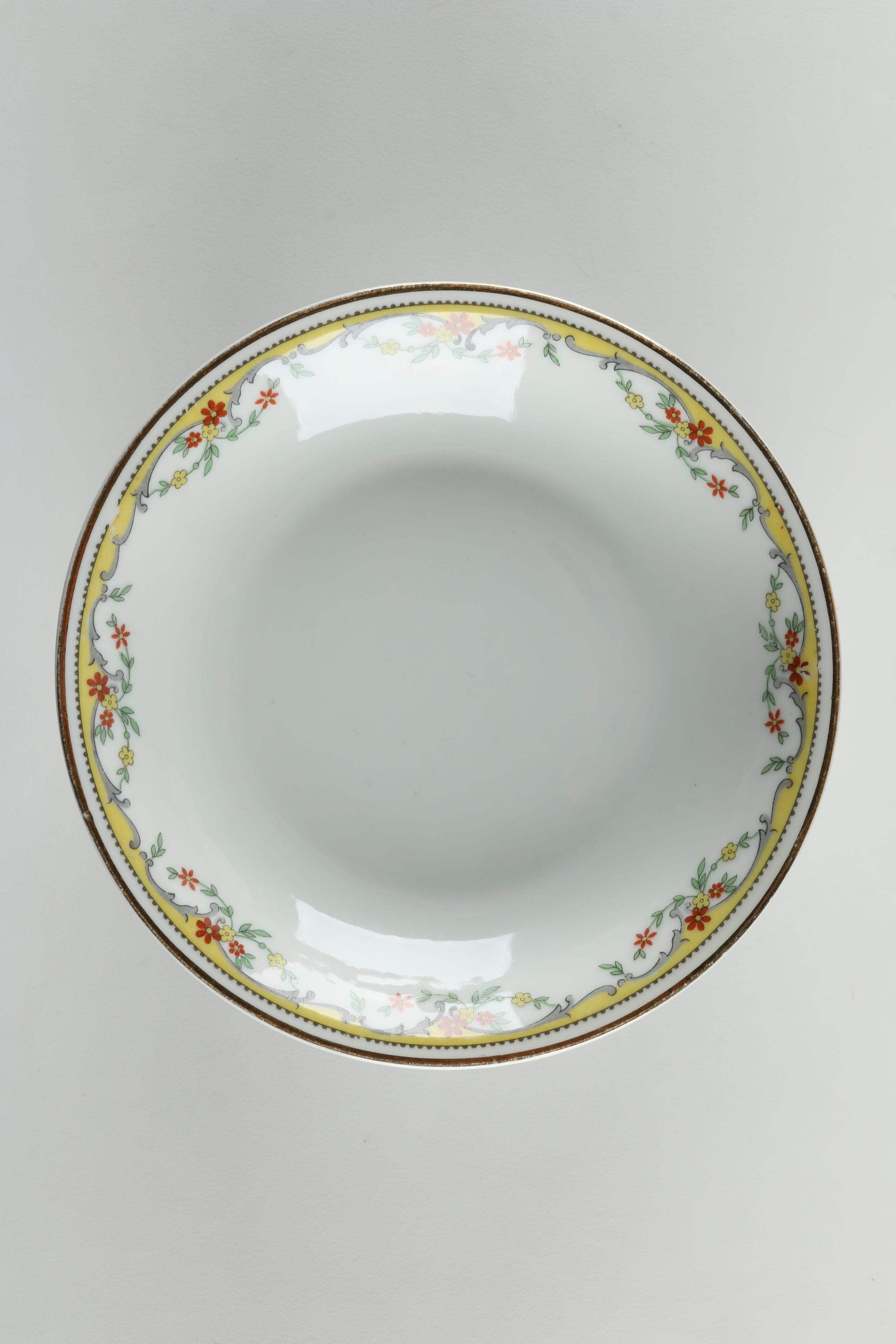 Vignaud Limoges "The Meuse" Porcelain Dinnerware