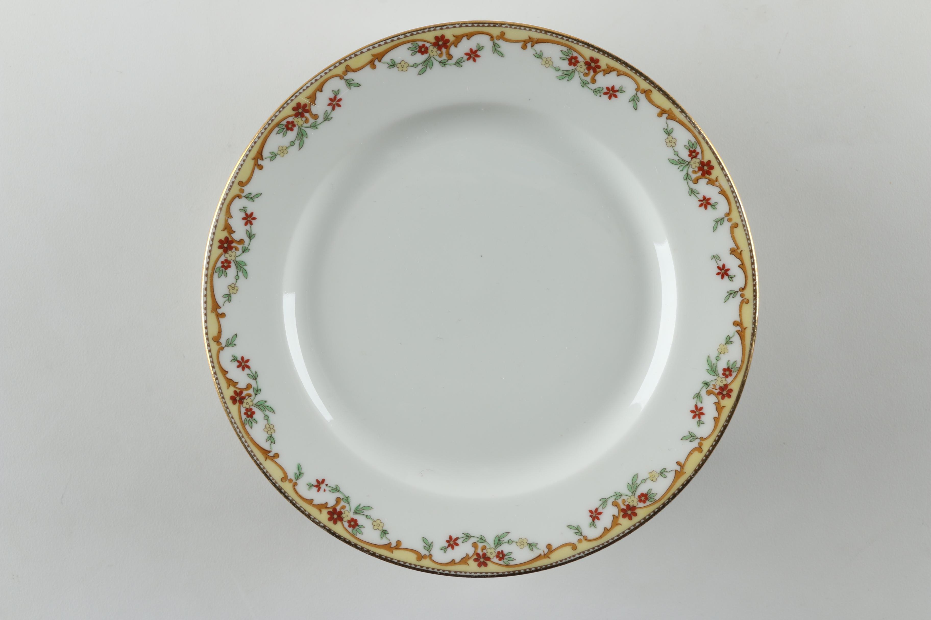 Vignaud Limoges "The Meuse" Porcelain Dinnerware