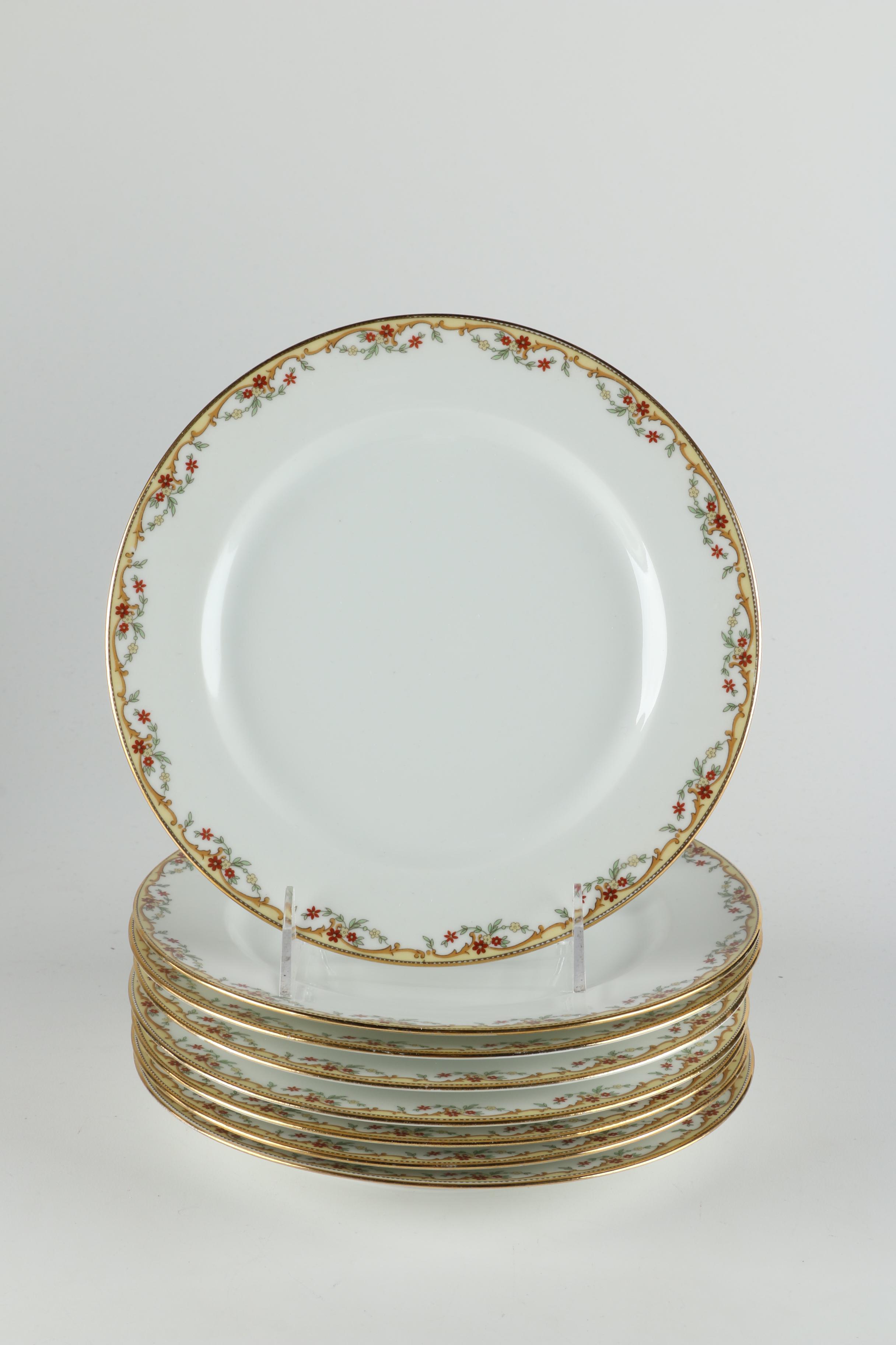 Vignaud Limoges "The Meuse" Porcelain Dinnerware