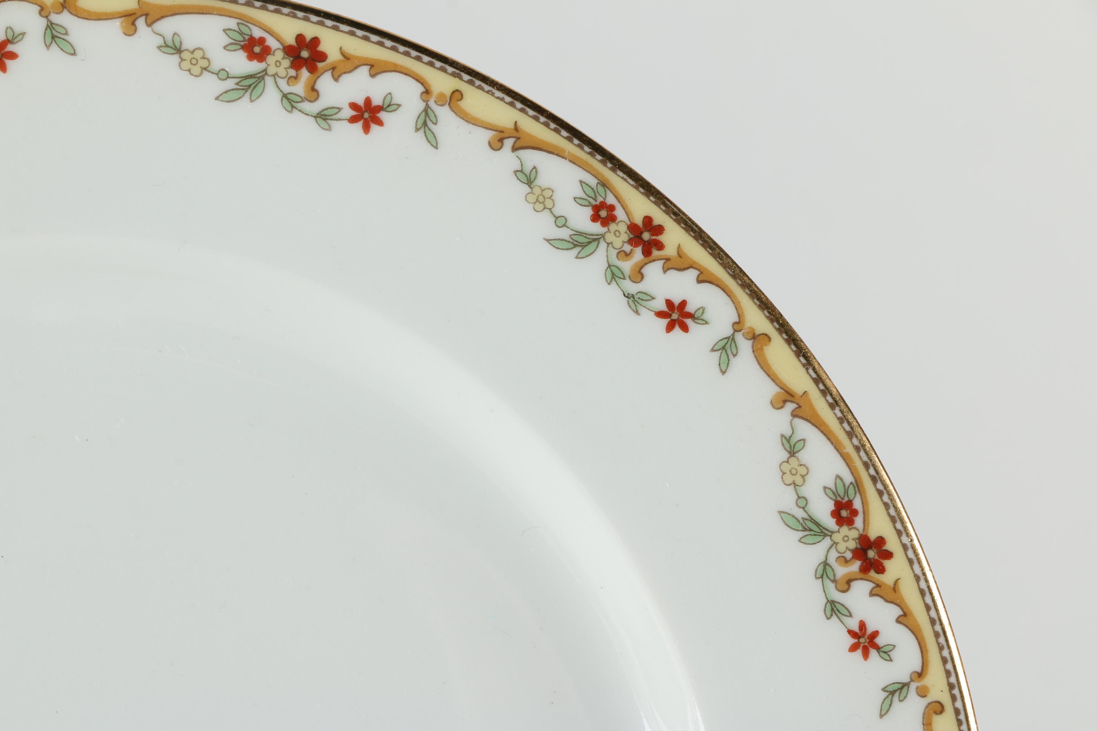 Vignaud Limoges "The Meuse" Porcelain Dinnerware