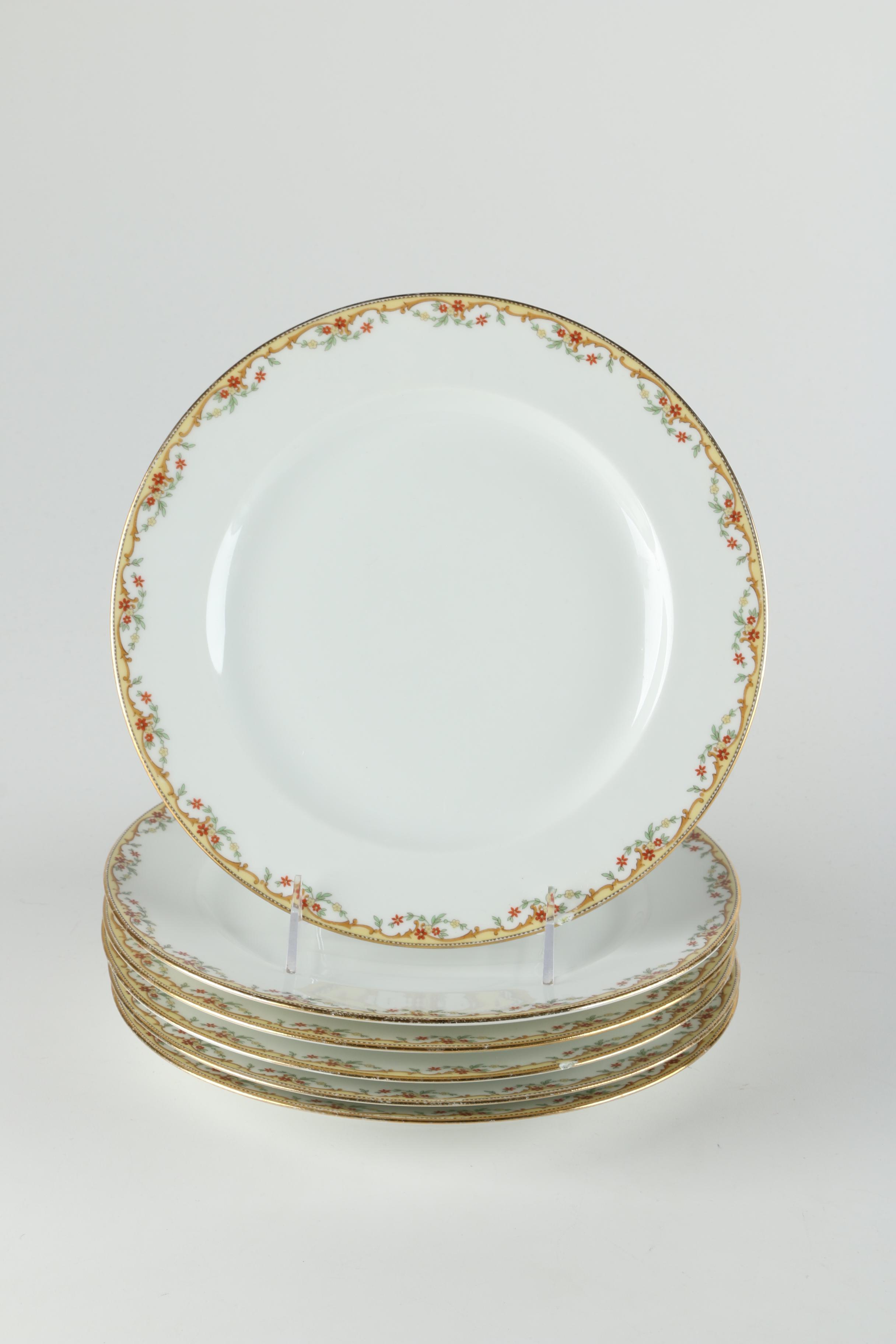 Vignaud Limoges "The Meuse" Porcelain Dinnerware