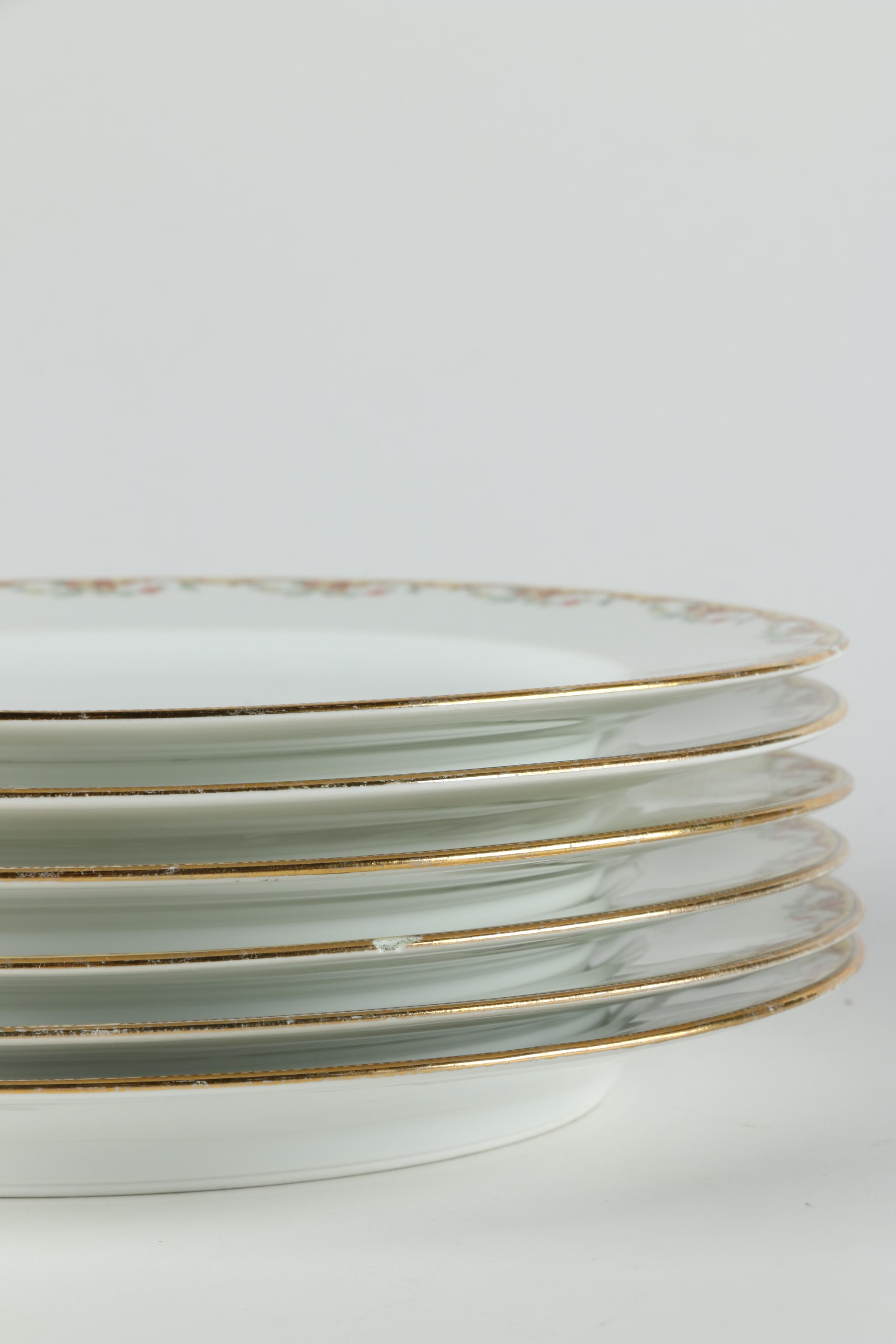Vignaud Limoges "The Meuse" Porcelain Dinnerware