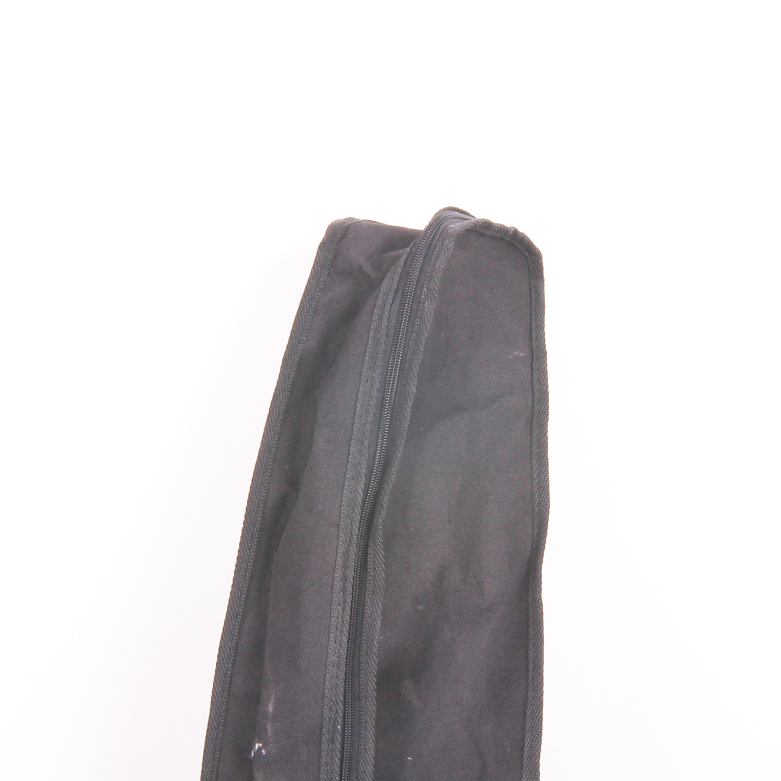 Fender Starcaster Acoustic Guitar With Case and Stand