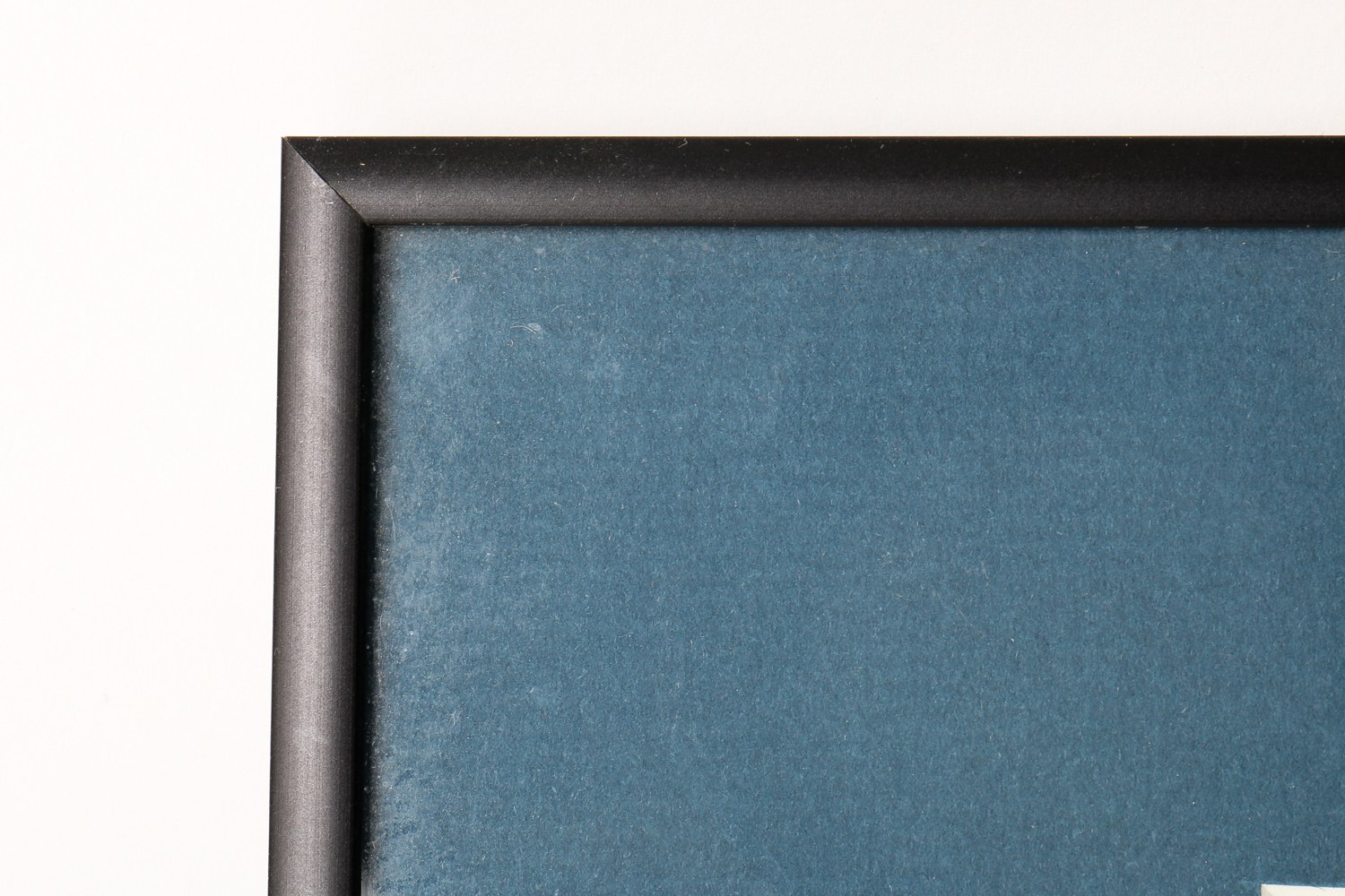 Darryl Willison Drawing "Best in the West"