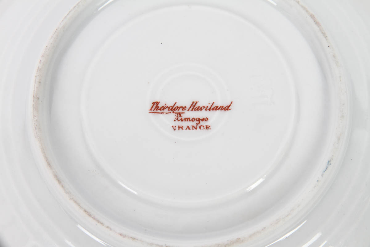 Haviland Limoges Teacup and Saucer Set