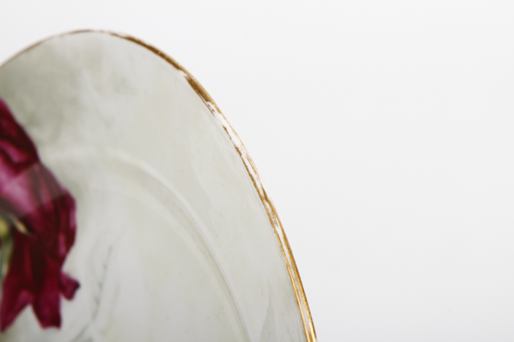 Vintage Haviland Hand Painted Plate