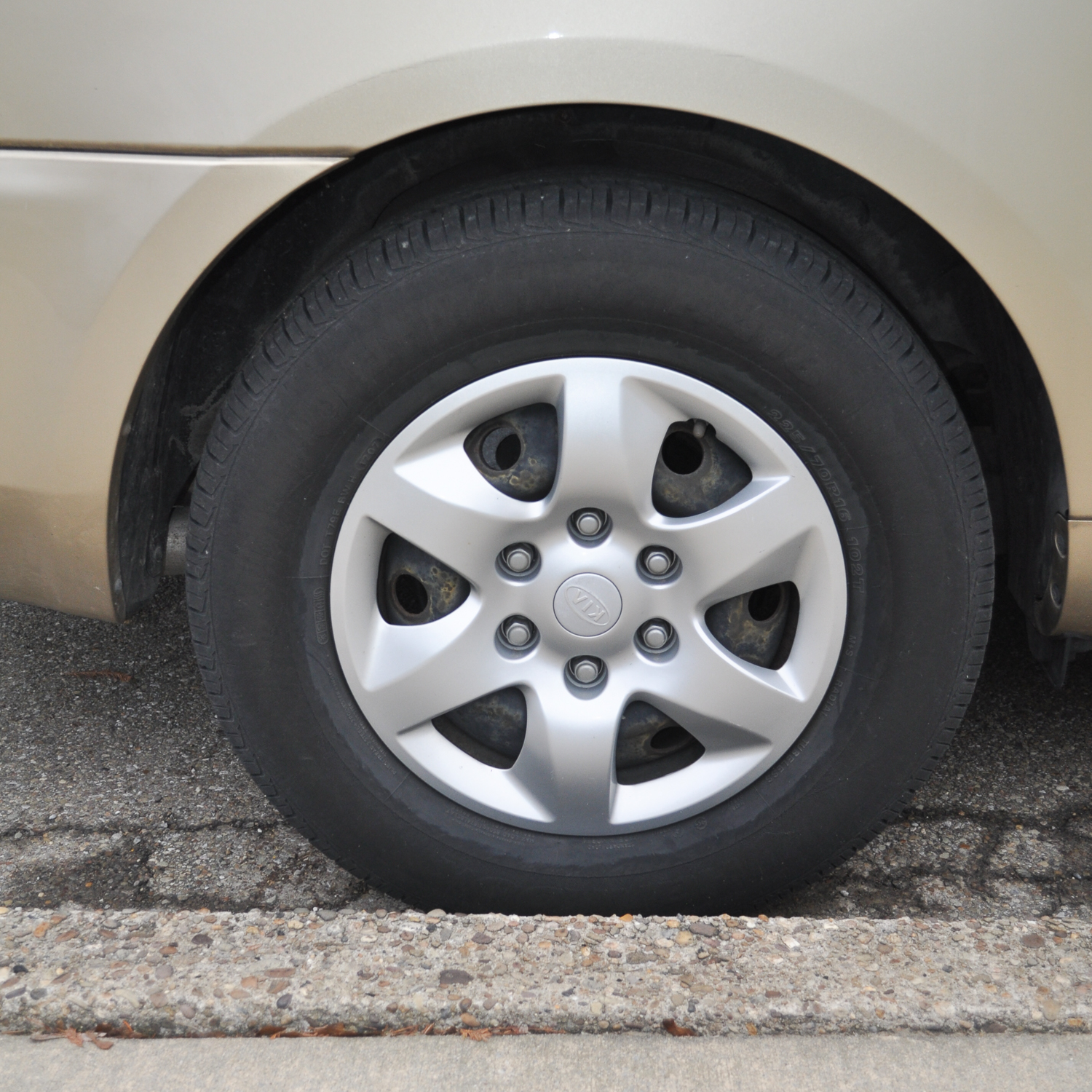 2007 Kia Sedona LX Minivan