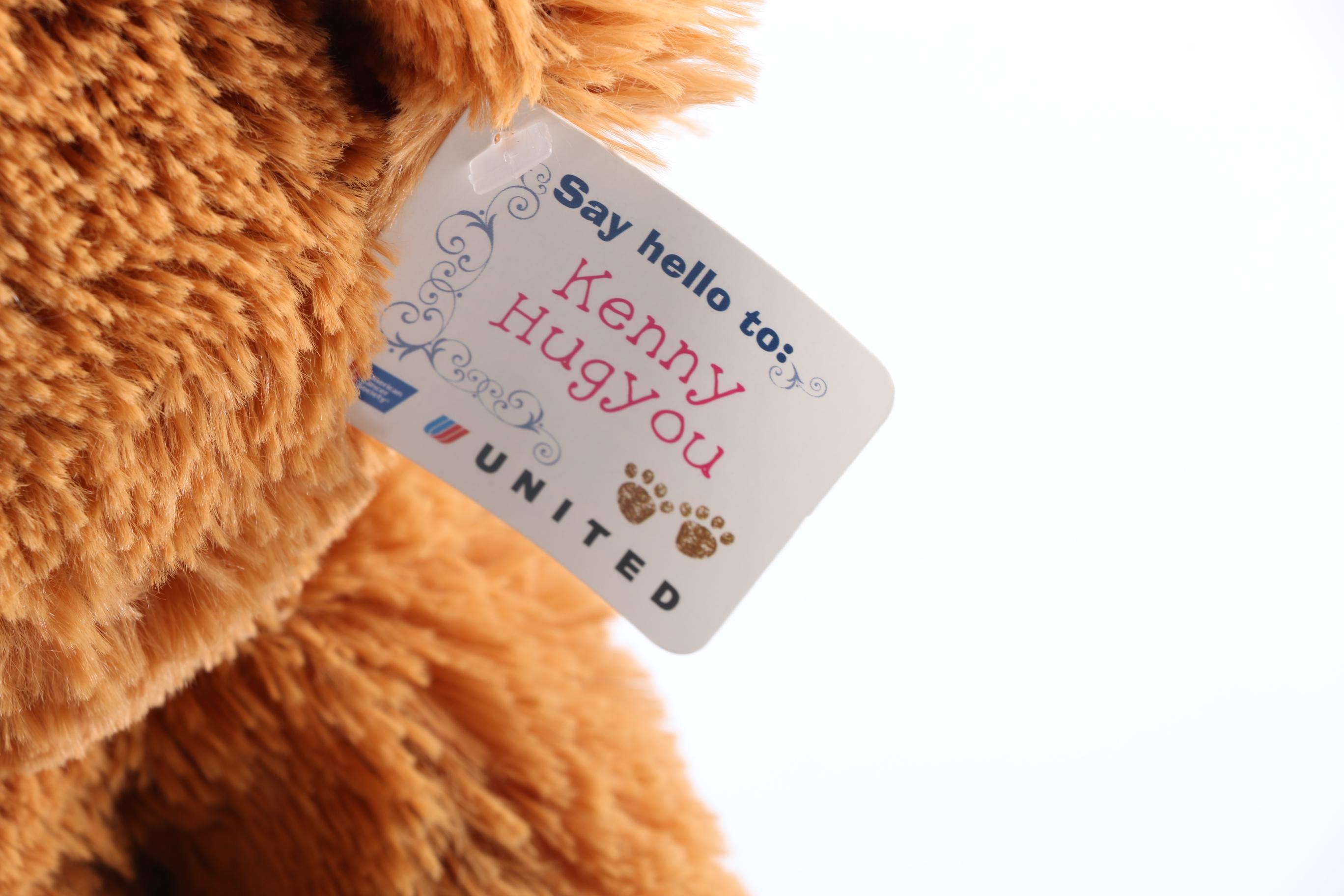 Pair of Gund Teddy Bears