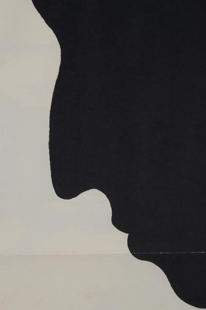 Original Milton Glaser 1966 Bob Dylan Slip Cover Poster