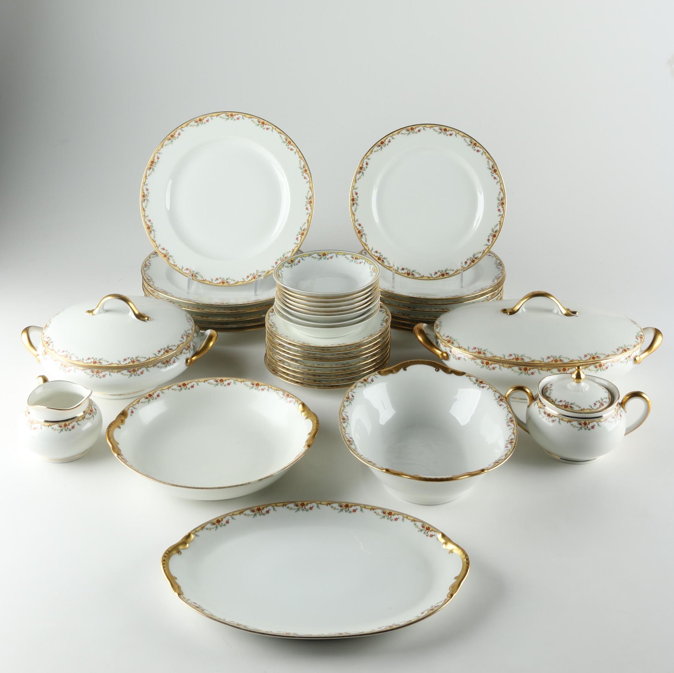 Vignaud Limoges "The Meuse" Porcelain Dinnerware