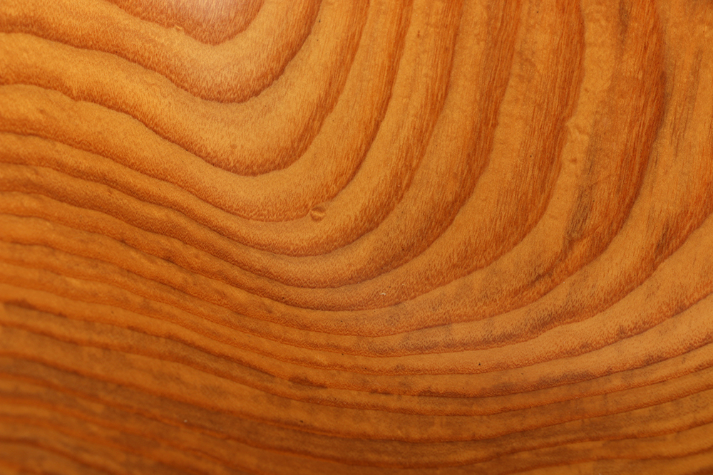 White Ash Burlwood Bowl by David Lory