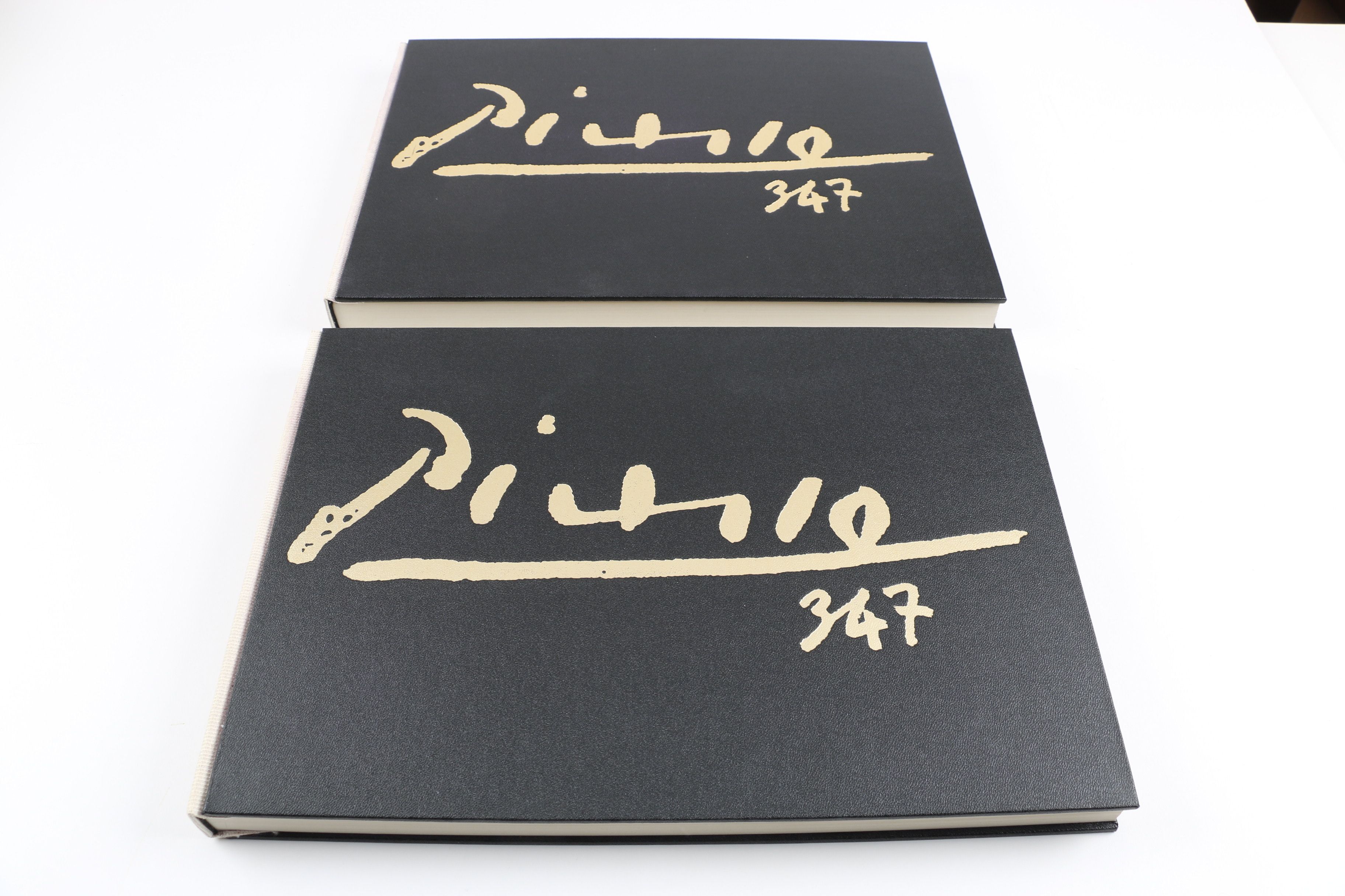 Collector's Rare Complete First Edition "Picasso 347" Volumes