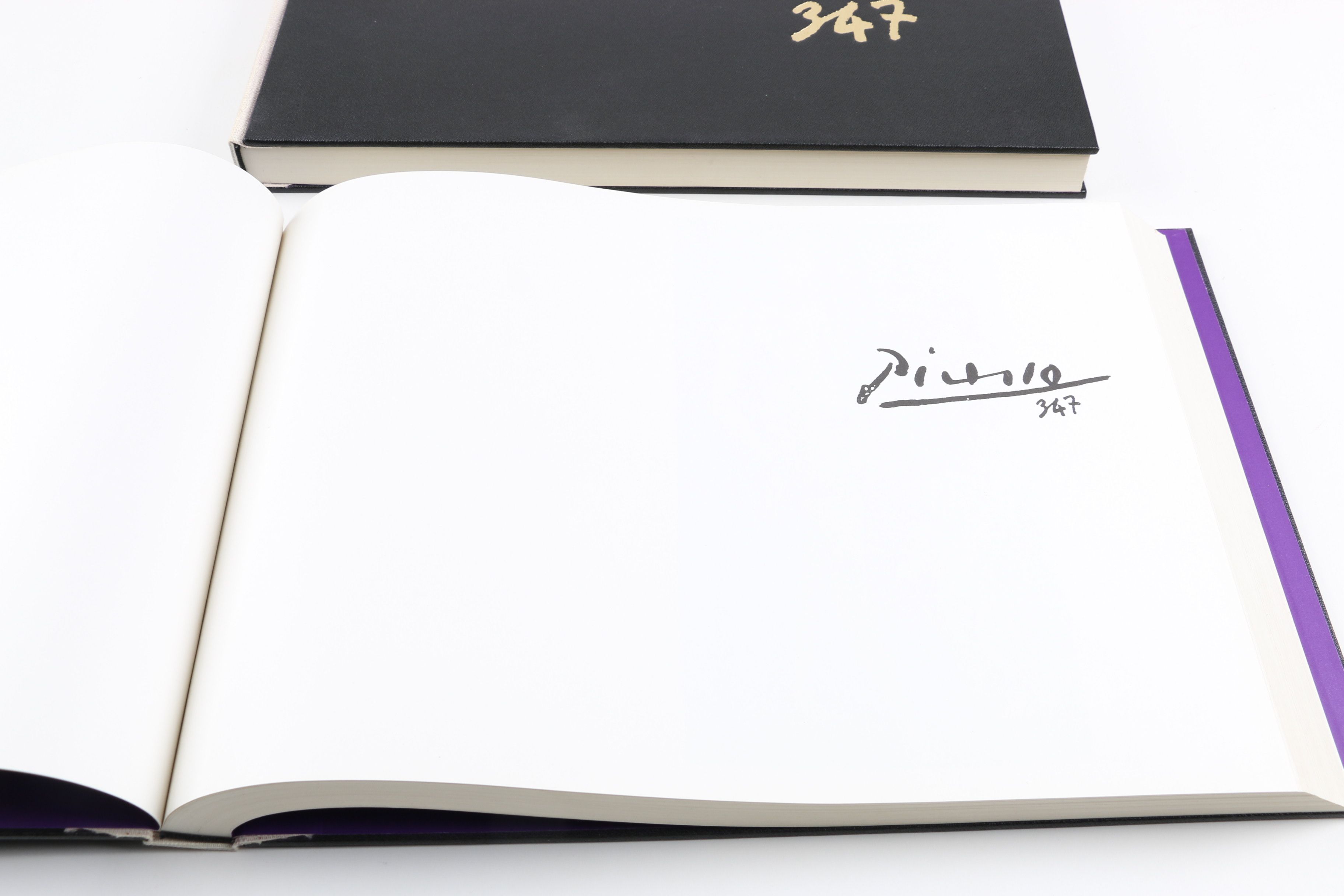 Collector's Rare Complete First Edition "Picasso 347" Volumes