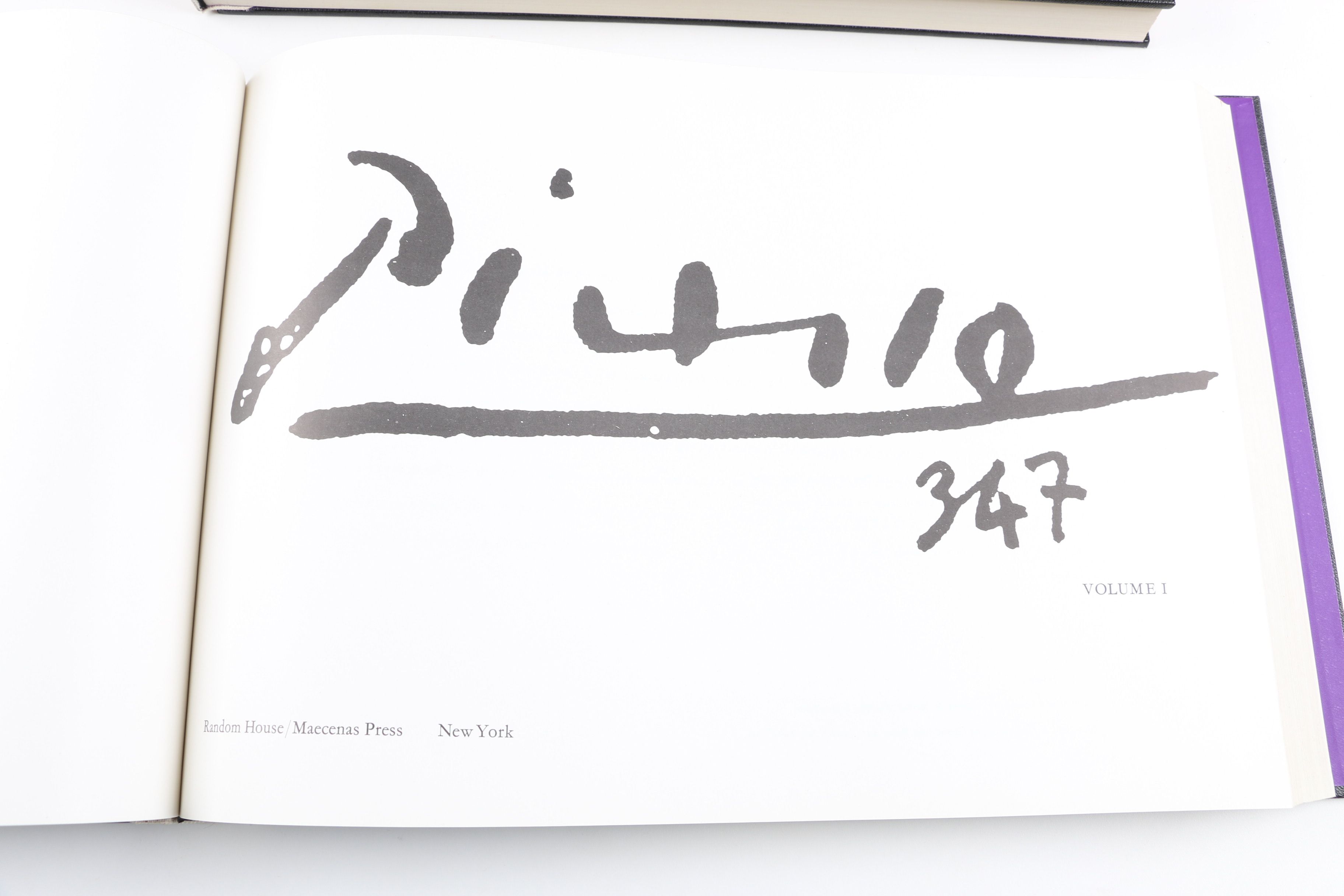 Collector's Rare Complete First Edition "Picasso 347" Volumes