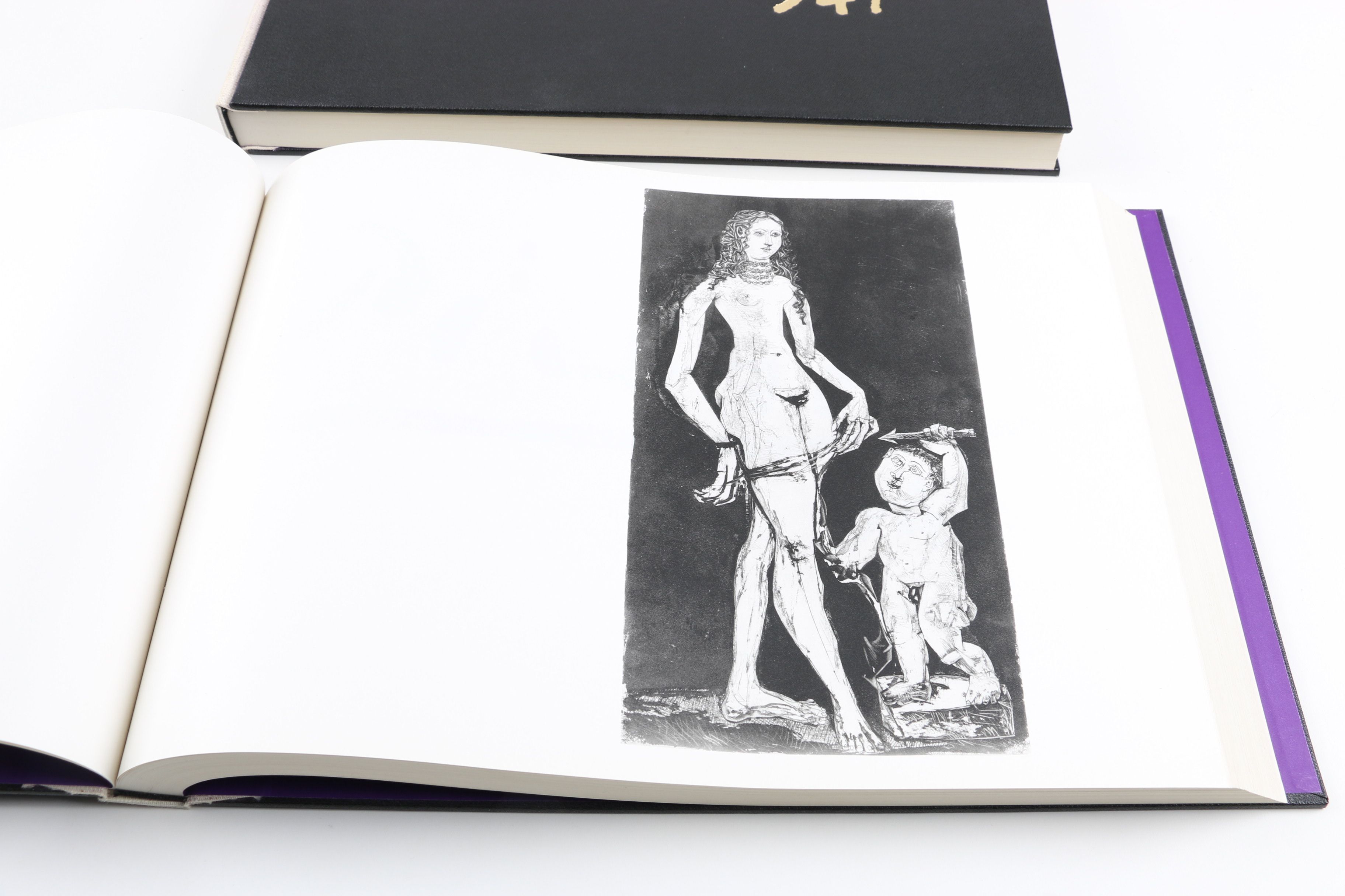 Collector's Rare Complete First Edition "Picasso 347" Volumes