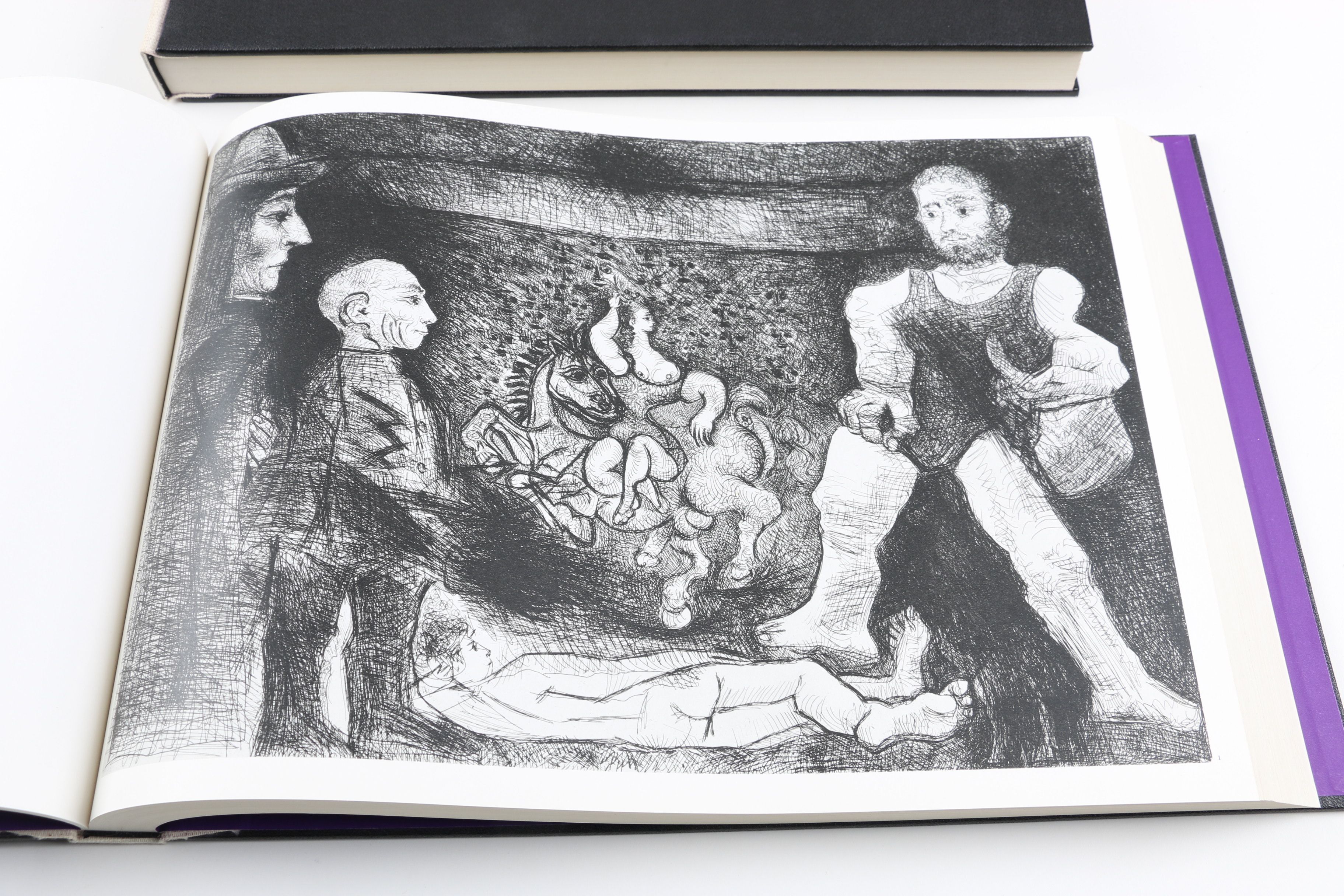 Collector's Rare Complete First Edition "Picasso 347" Volumes